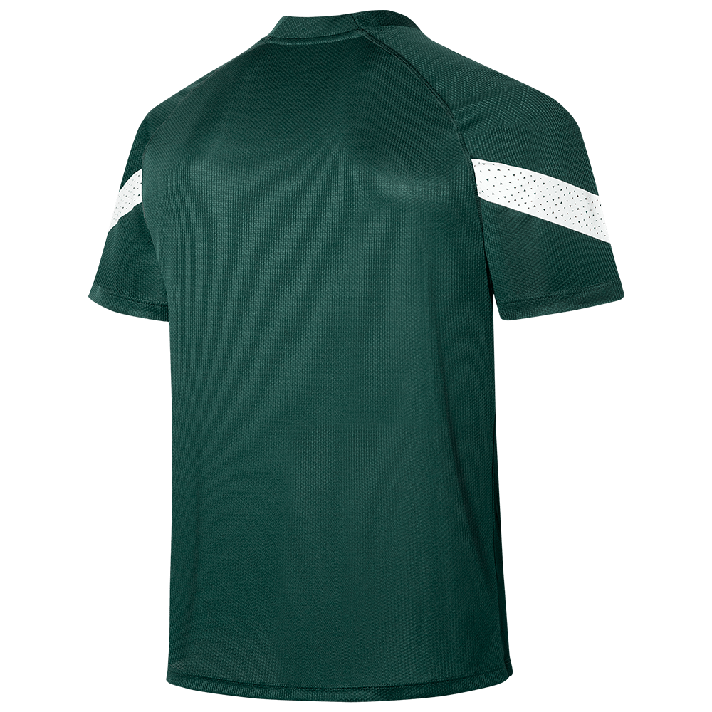 Camisa do Palmeiras Treino