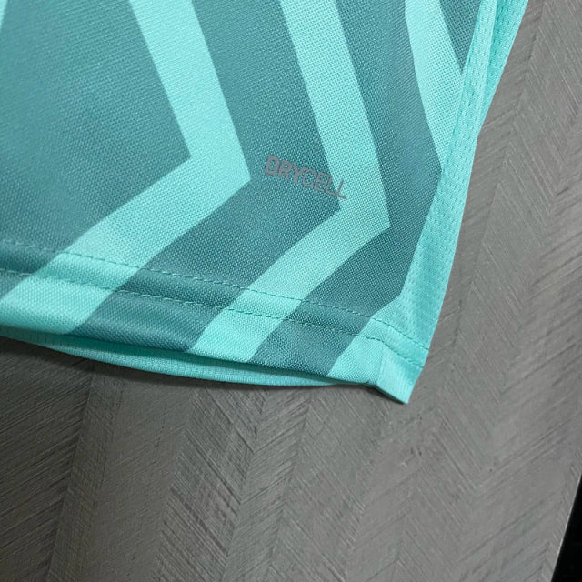 Camisa do Palmeiras Goleiro 24/25 Verde