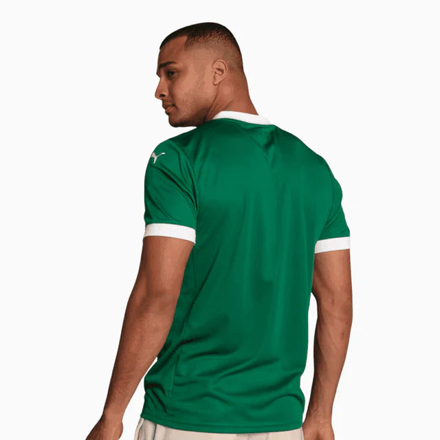 Camisa do Palmeiras Verde PAULINHO