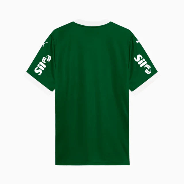 Camisa do Palmeiras Verde Completa 2026 + Patrocínios