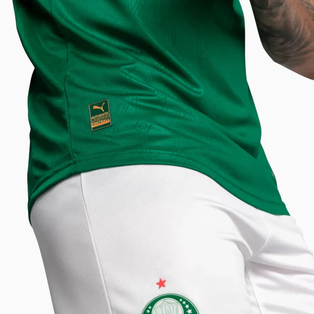 Camisa do Palmeiras Completa 2026 JOGADOR