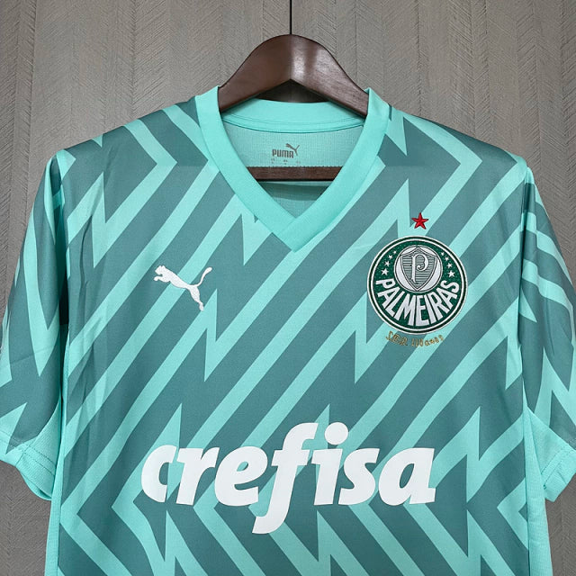 Camisa do Palmeiras Goleiro 24/25 Verde