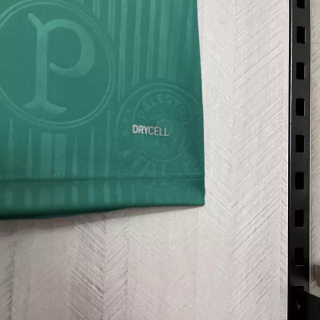 Camisa do Palmeiras Feminina 24/25 Home