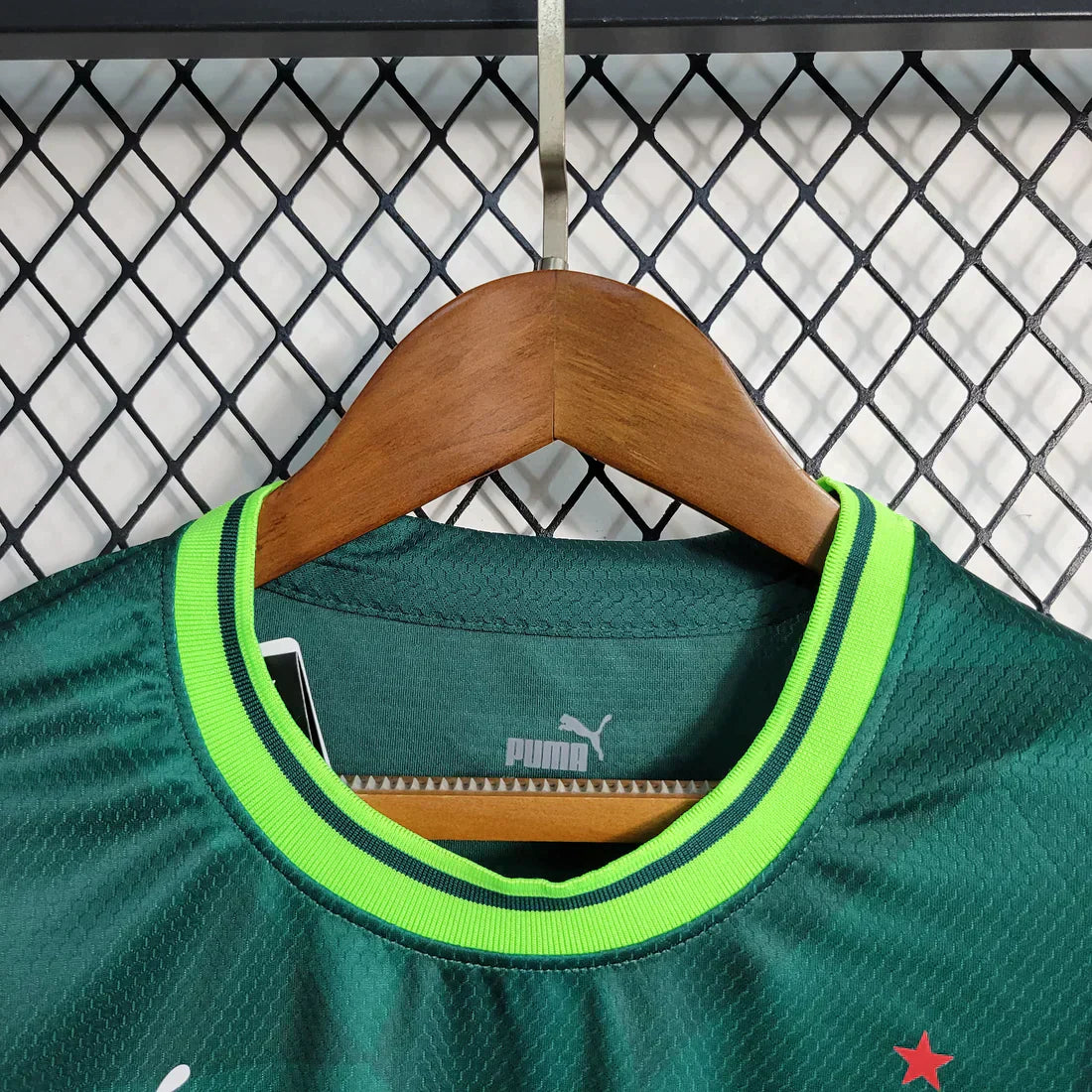 Camisa Feminina Palmeiras I 23/24 Verde