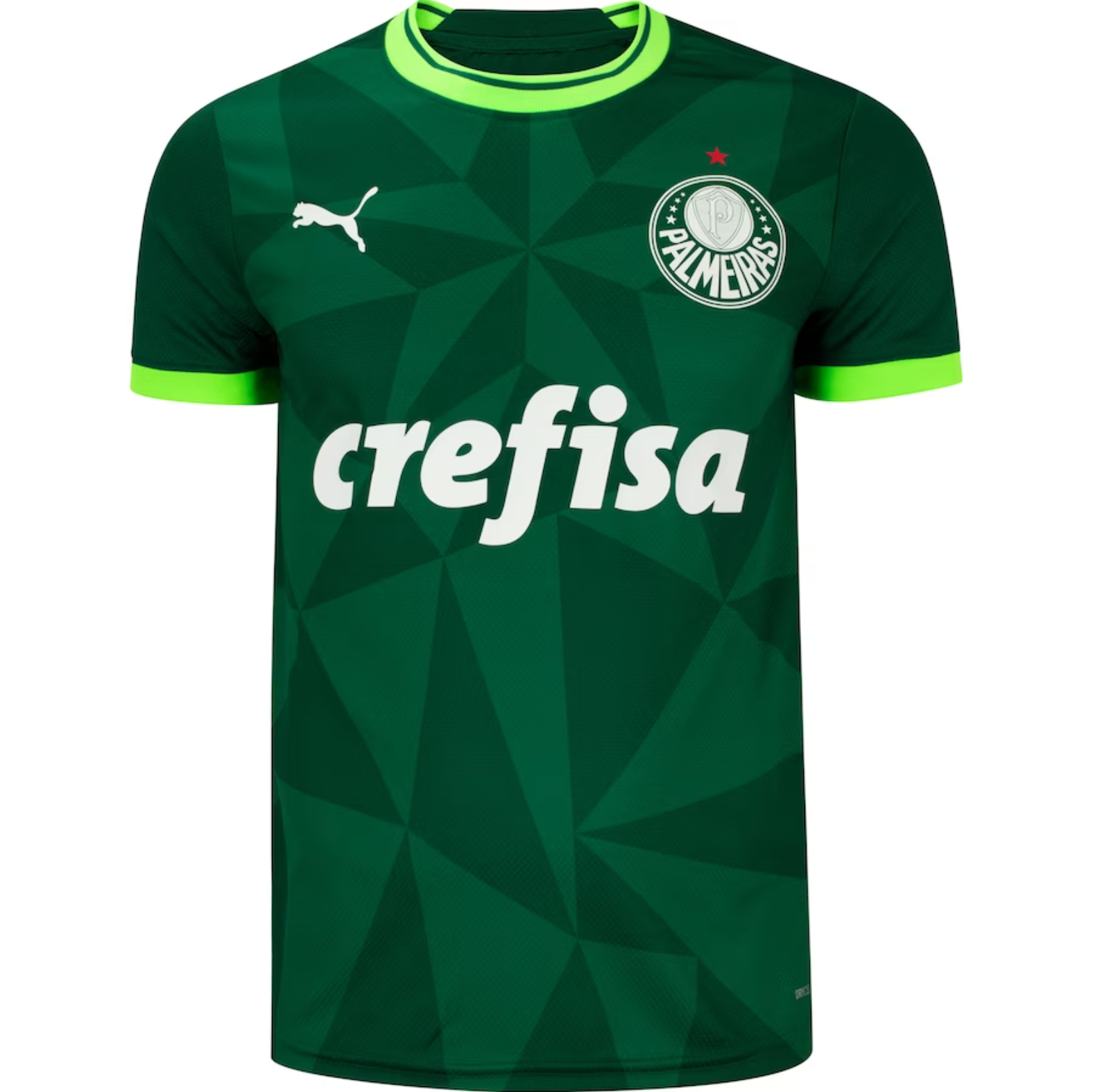 Camisa Palmeiras I 23/24 Verde