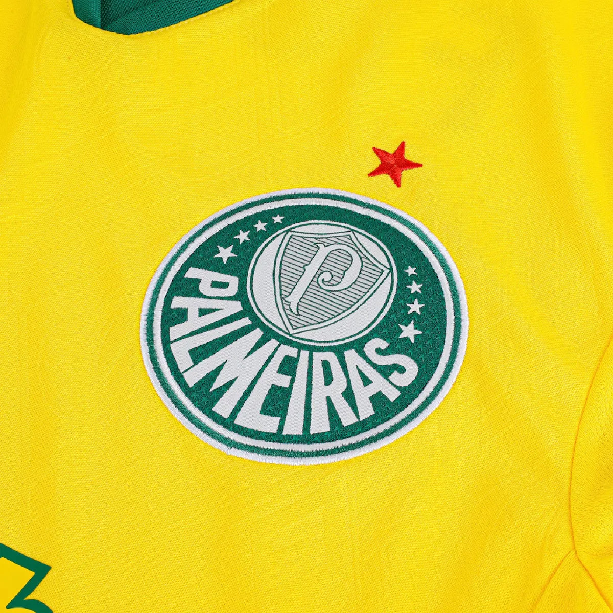 Camisa do Palmeiras Third 2026 Feminina