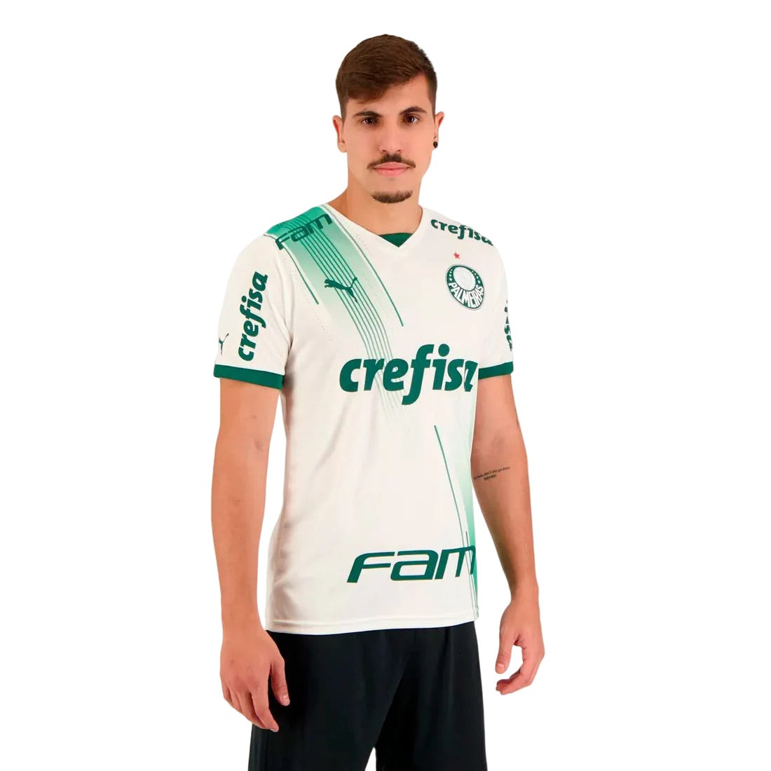 Camisa Palmeiras Todos Patrocinadores 23/24