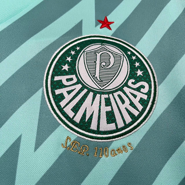 Camisa do Palmeiras Goleiro 24/25 Verde