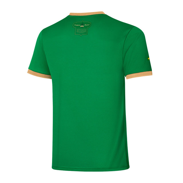 Camisa Palmeiras Edição Comemorativa 70 Anos Verde