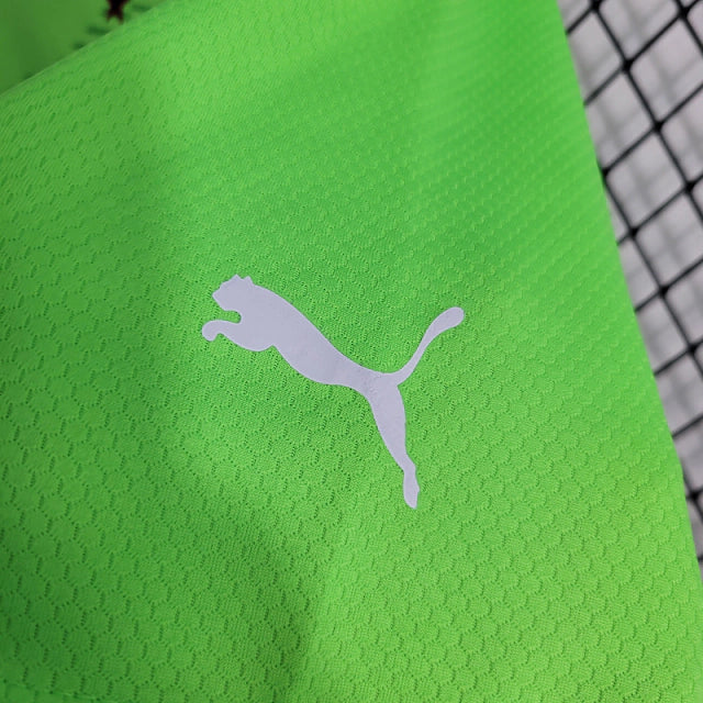 Camisa do Palmeiras Goleiro 23/24 Verde Florecente