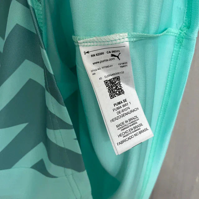 Camisa do Palmeiras Goleiro 24/25 Verde