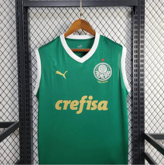 Regata do Palmeiras 24/25 Home