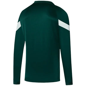 Kit Moletom Palmeiras 25/26