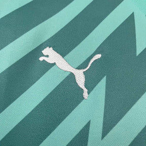 Camisa do Palmeiras Goleiro 24/25 Verde