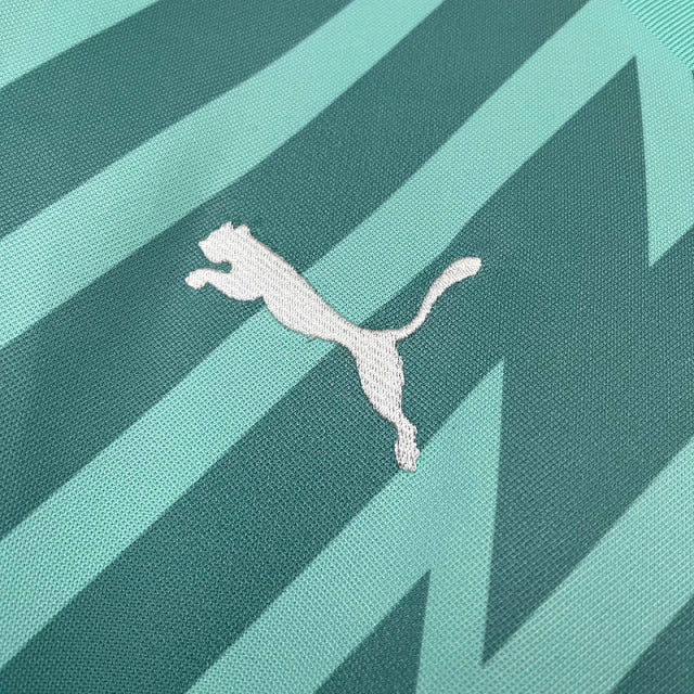 Camisa do Palmeiras Goleiro 24/25 Verde