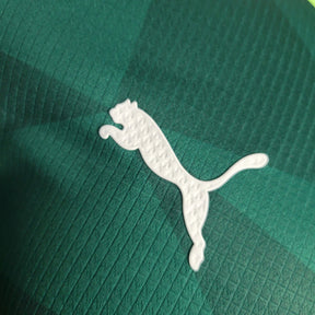 Camisa do Palmeiras Jogador 23/24 Home