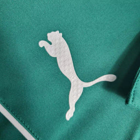 Camisa do Palmeiras Gola 23/24 Verde