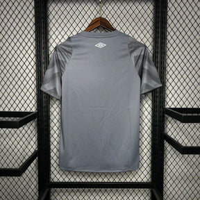 Camisa do Santos 24/25 Treino