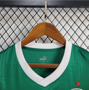 Regata do Palmeiras 24/25 Home