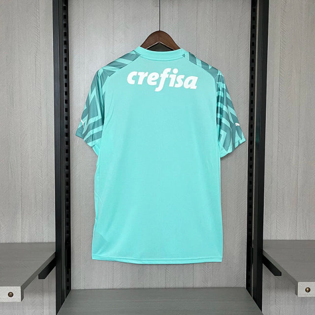 Camisa do Palmeiras Goleiro 24/25 Verde