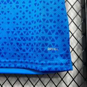 Camisa do Palmeiras 24/25 Treino