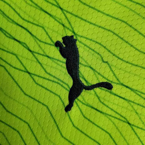 Camisa do Palmeiras Feminina 23/24 Home