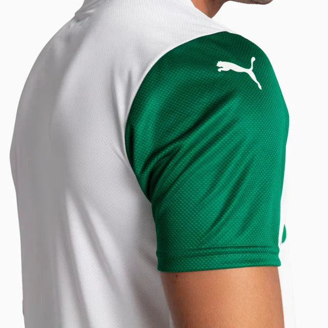 Camisa do Palmeiras Completa Branca 2026 JOGADOR