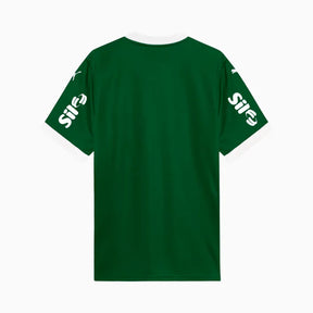 Camisa do Palmeiras Verde Completa 2026 + Patrocínios