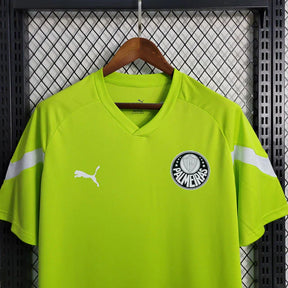 Camisa do Palmeiras 23/24 Treino T-Shirt