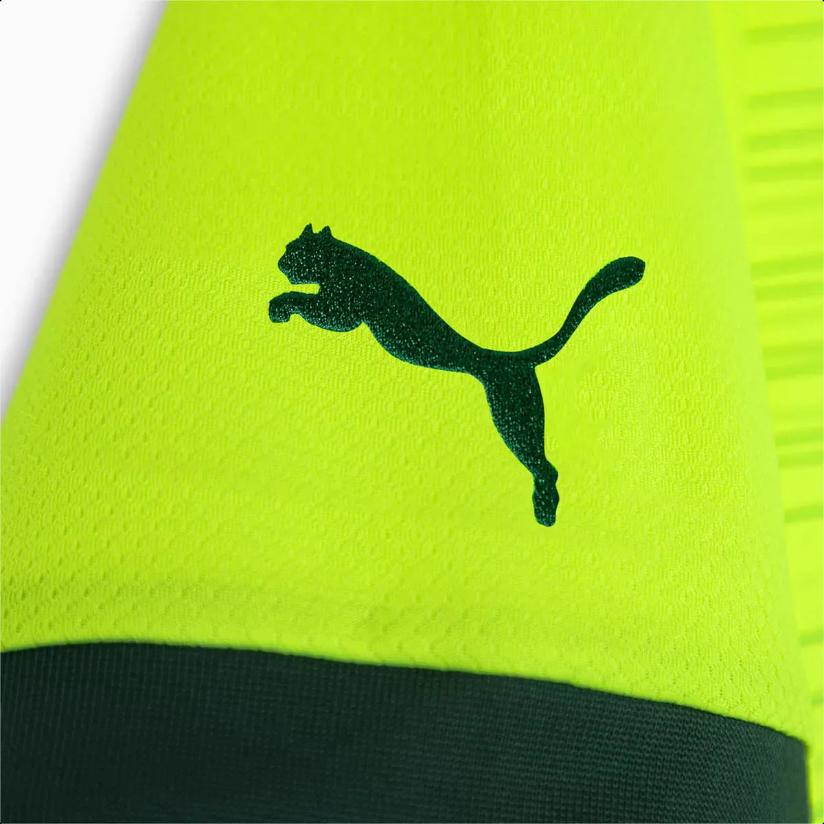 Camisa Palmeiras III 23/24  Verde