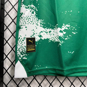 Camisa do Palmeiras 24/25 Especial