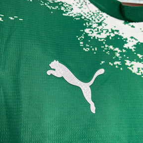 Camisa do Palmeiras 24/25 Especial