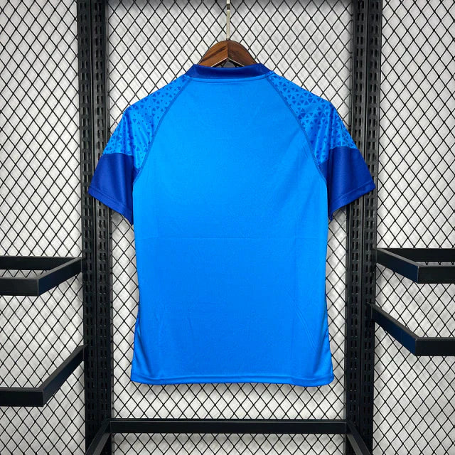 Camisa do Palmeiras 24/25 Treino