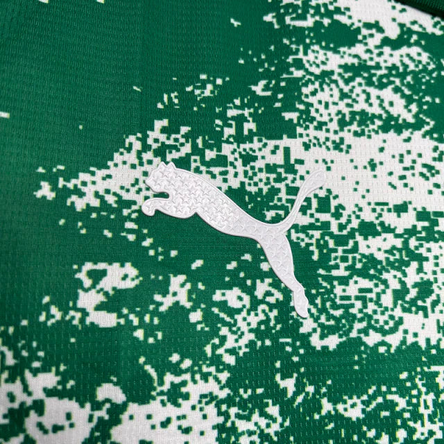 Camisa do Palmeiras 24/25 Especial Verde e Branco