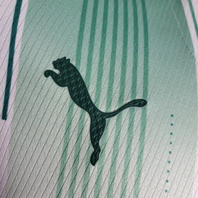 Camisa do Palmeiras Jogador 23/24