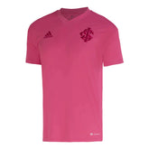 Camisa Feminina Internacional Outubro Rosa 22/23  - Rosa