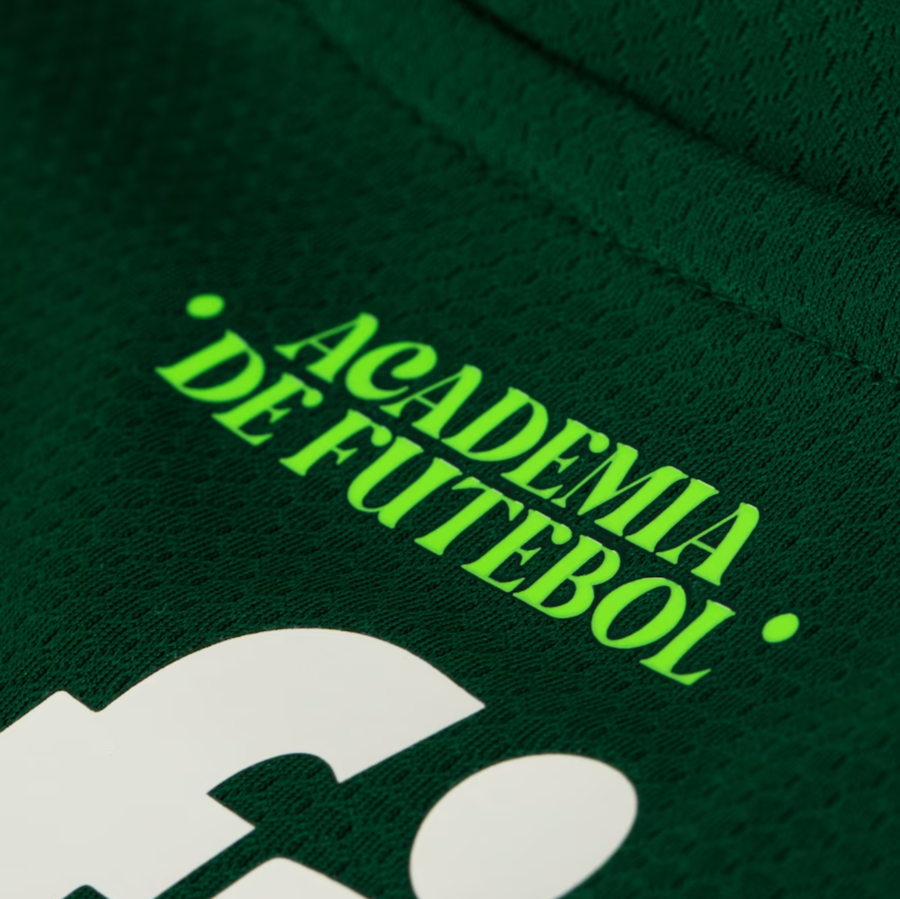Camisa Palmeiras I 23/24  Verde