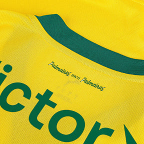 Camisa do Palmeiras Third 2026 Feminina