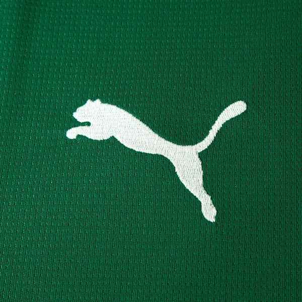 Camisa Puma Palmeiras 2026/27 I COMPLETA