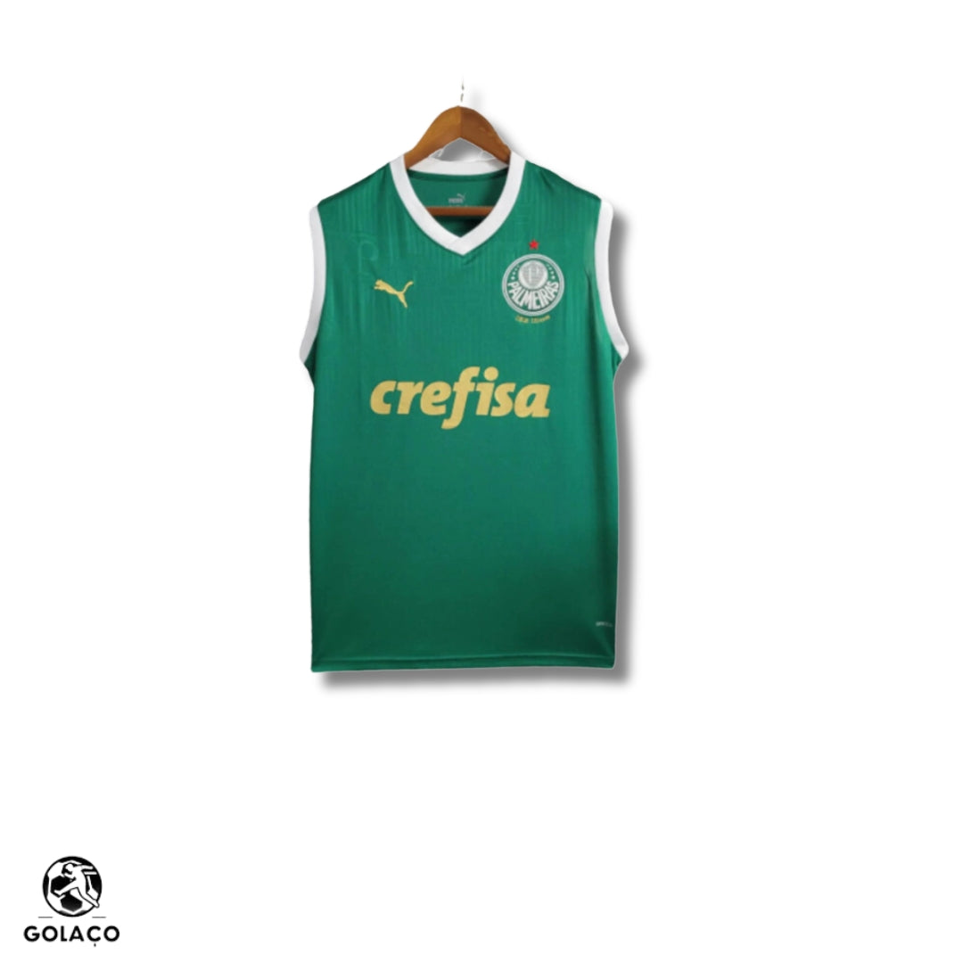Regata do Palmeiras 24/25 Home