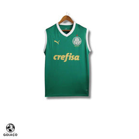 Regata do Palmeiras 24/25 Home
