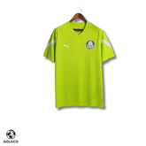 Camisa do Palmeiras 23/24 Treino T-Shirt