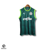 Regata do Palmeiras 23/24 Home