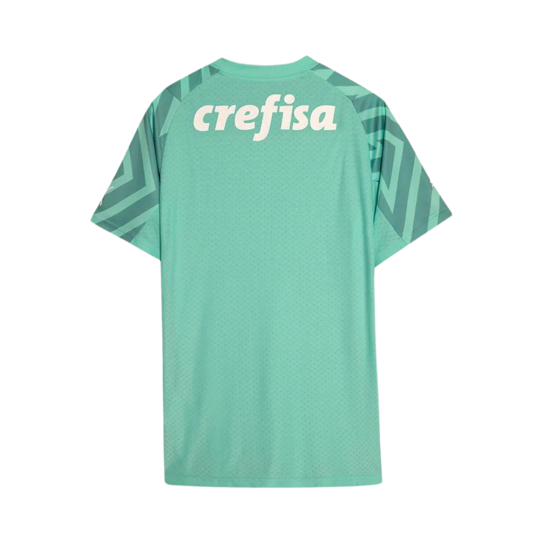 Camisa Palmeiras Goleiro 24/25