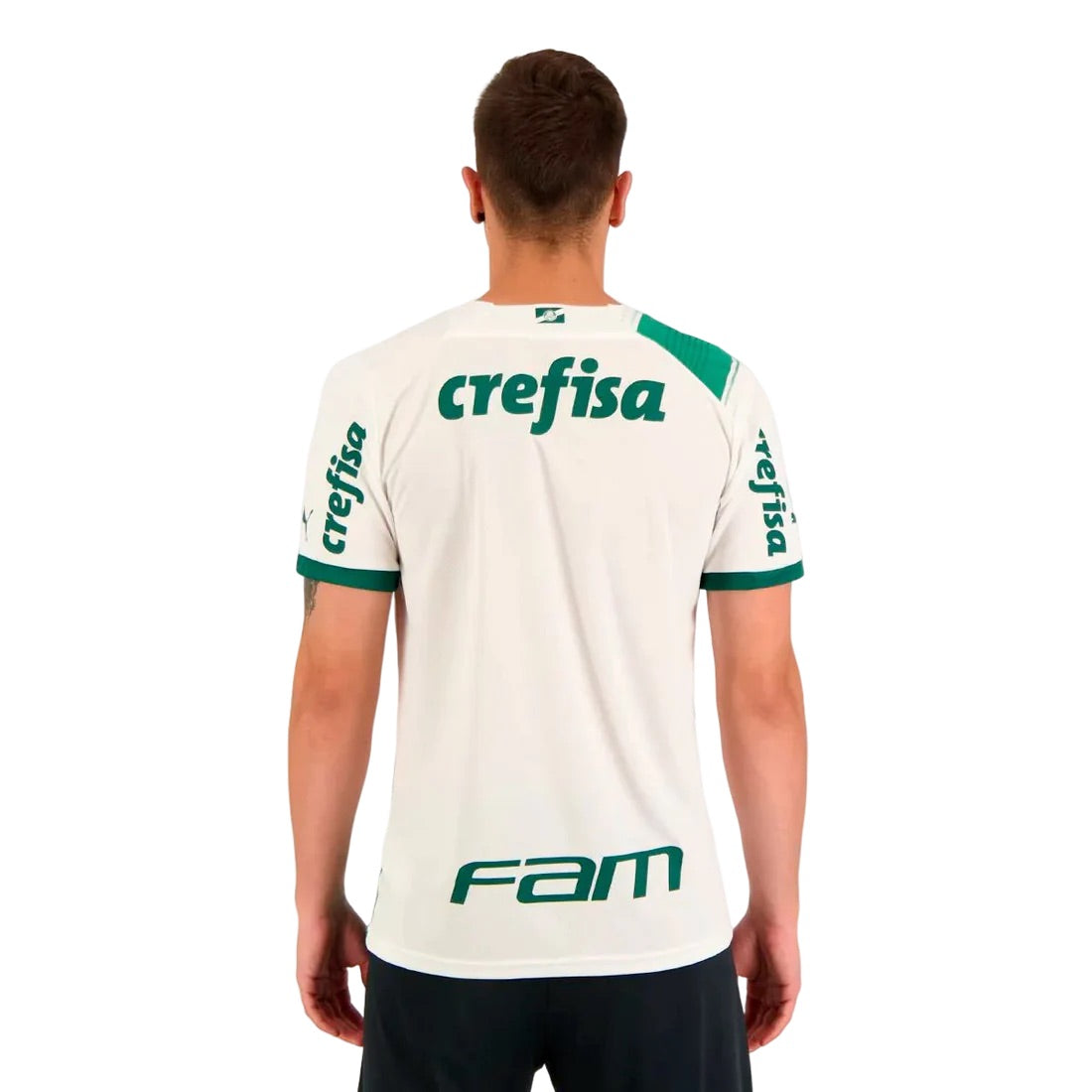 Camisa Palmeiras Todos Patrocinadores 23/24