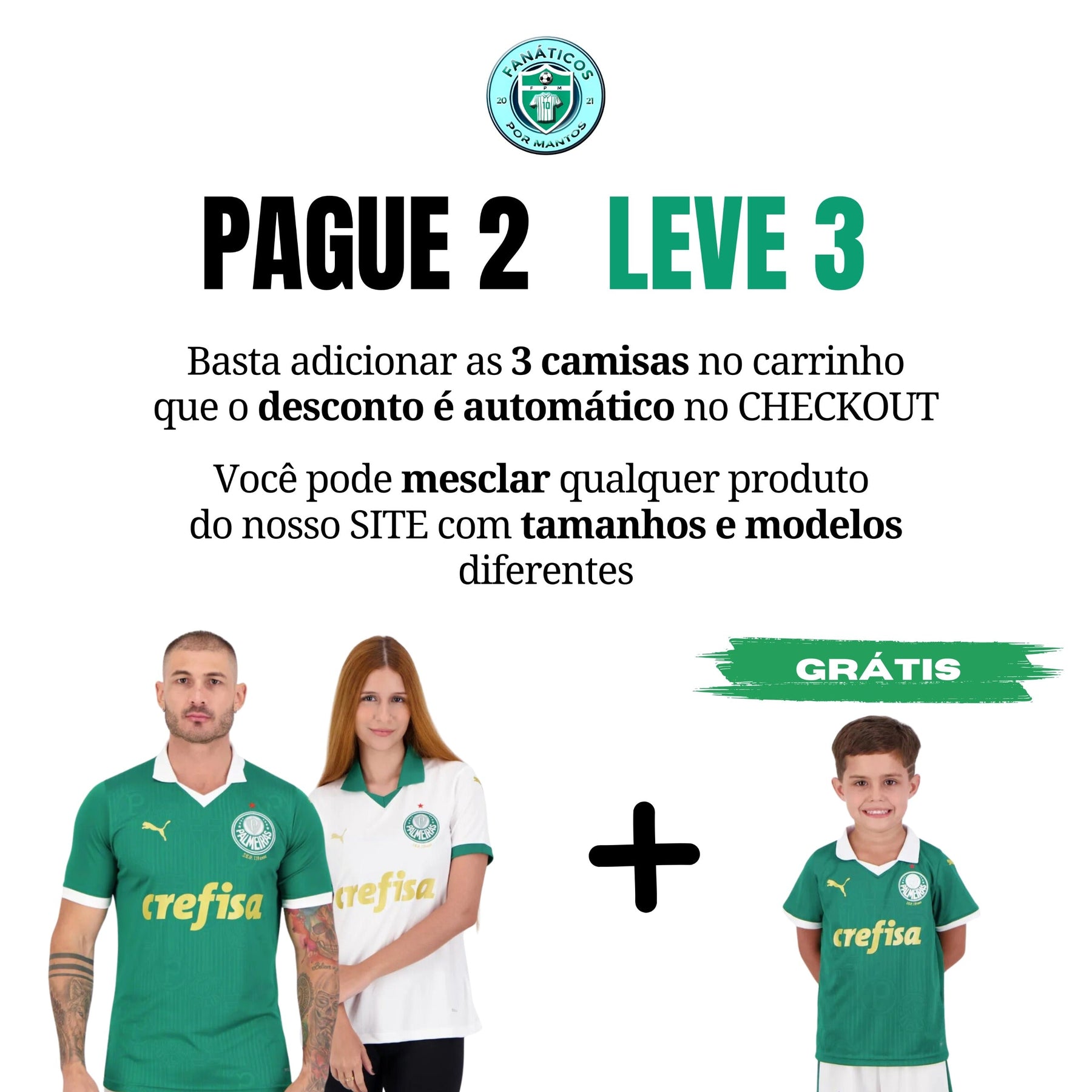 Camisa Palmeiras Puma 23/24 Treino