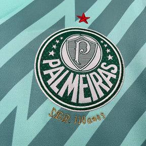 Camisa do Palmeiras Goleiro 24/25 Verde