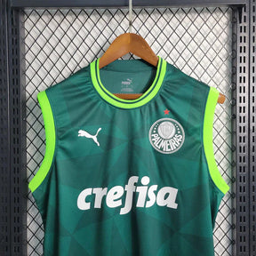 Regata do Palmeiras 23/24 Home