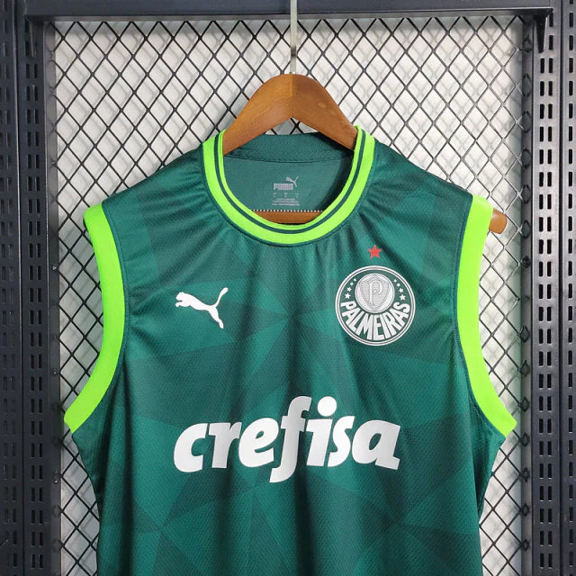 Regata do Palmeiras 23/24 Home
