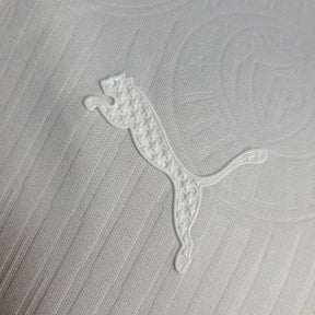 Camisa do Palmeiras Jogador 24/25 Especial